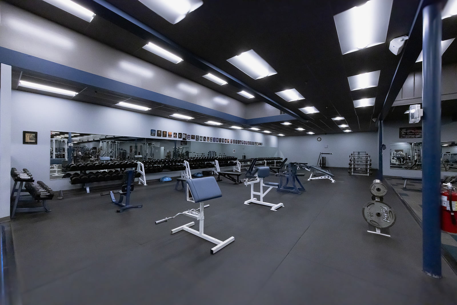 Weights and cardio area