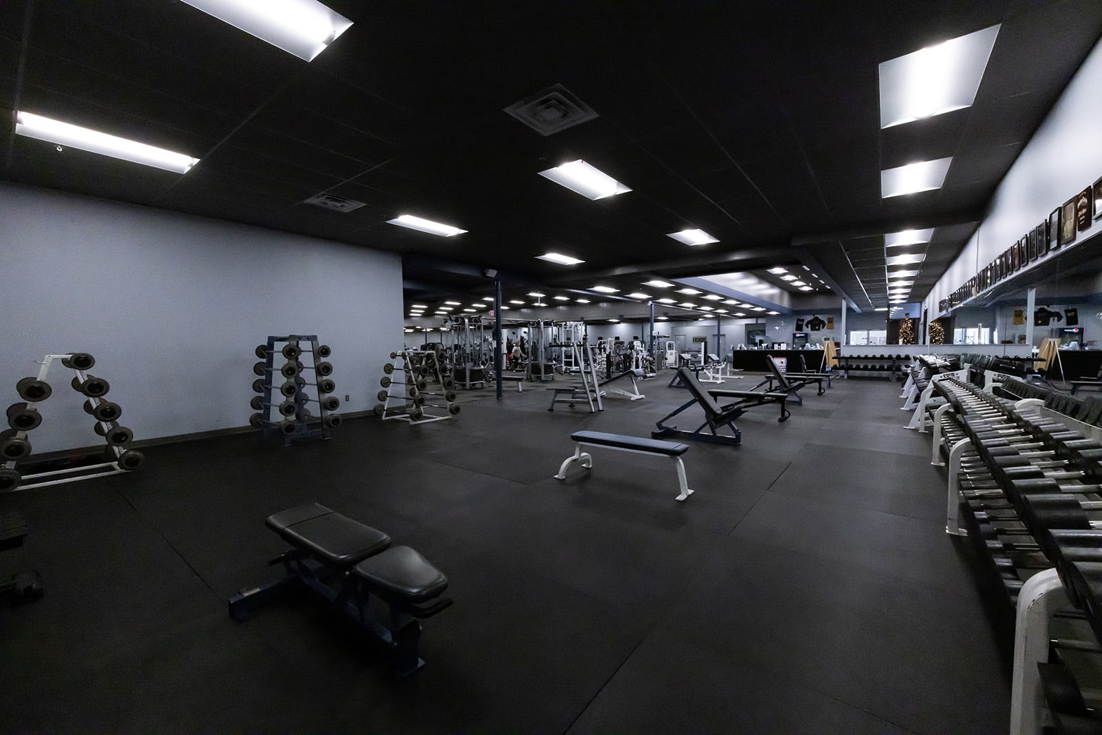 Weights and cardio area