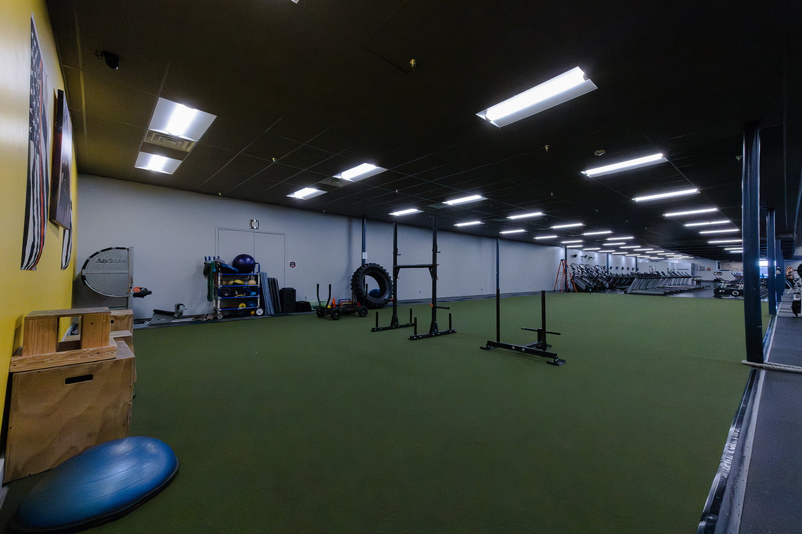 Functional turf area
